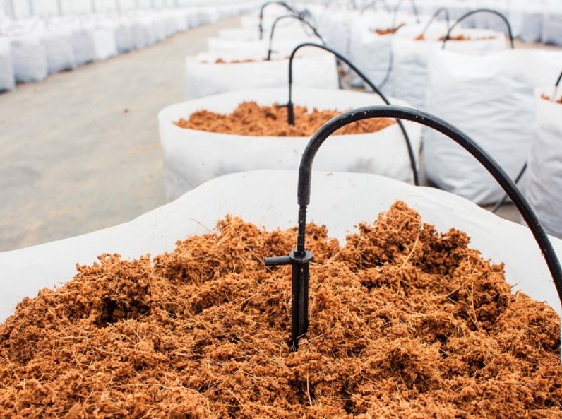 Cocopeat Is A Great Way To Help Your Hydroponic Garden Grow.