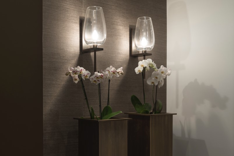 Bring Nature to your Rooms with NARCISO and DAFNE